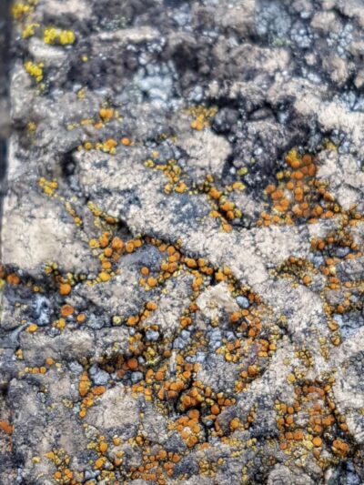 Kosciuszko Park - Wilmington, DE