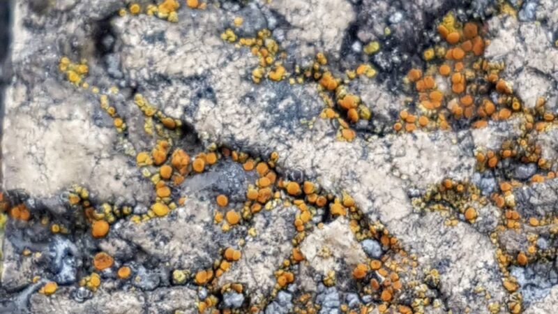 Kosciuszko Park - Wilmington, DE