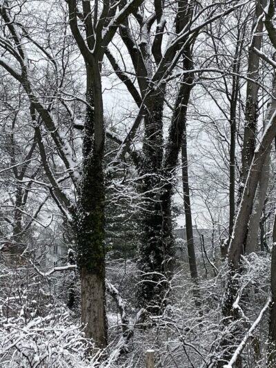 River Road Park - Wilmington, DE