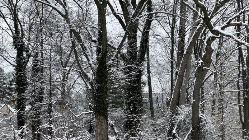 River Road Park - Wilmington, DE