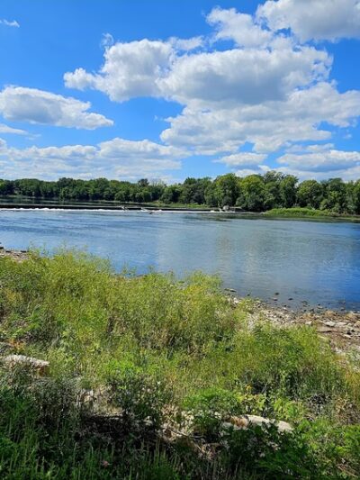 South Island Park - Wilmington, IL