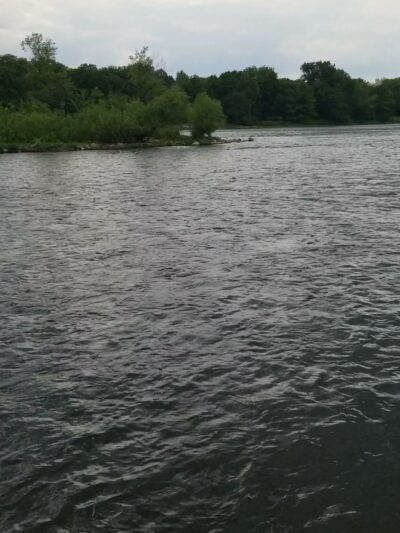 South Island Park - Wilmington, IL