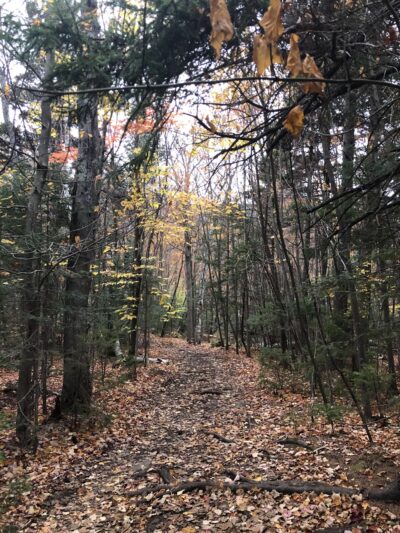 Cobble Lookout - Wilmington, NY