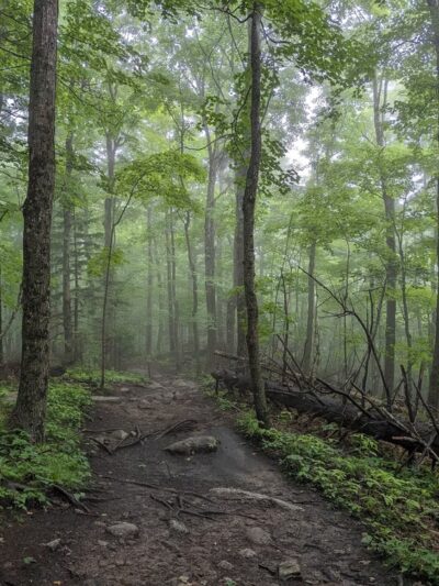 Cobble Lookout Trailhead - Wilmington, NY