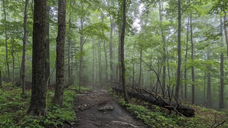 Cobble Lookout Trailhead - Wilmington, NY