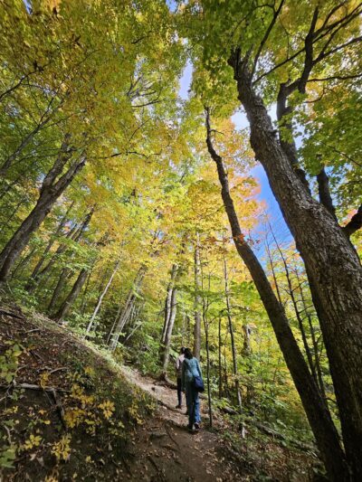 Cobble Lookout Trailhead - Wilmington, NY
