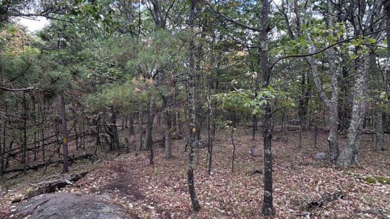 Hardy Road Trailhead - Wilmington, NY