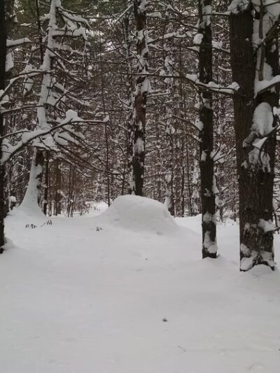 Hardy Road Trailhead - Wilmington, NY