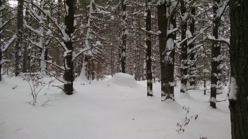 Hardy Road Trailhead - Wilmington, NY