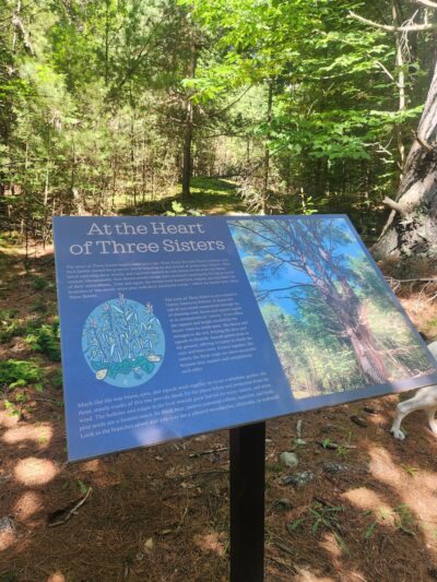 Three Sisters Preserve - Hardy Road Trailhead - Wilmington, NY