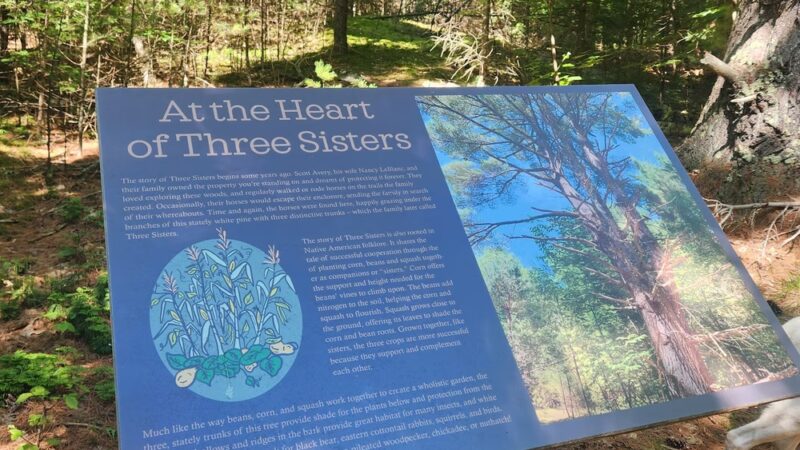 Three Sisters Preserve - Hardy Road Trailhead - Wilmington, NY