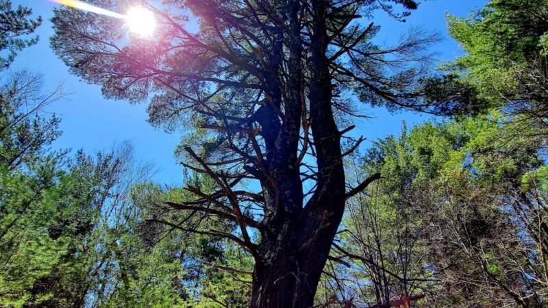Three Sisters Preserve - Hardy Road Trailhead - Wilmington, NY