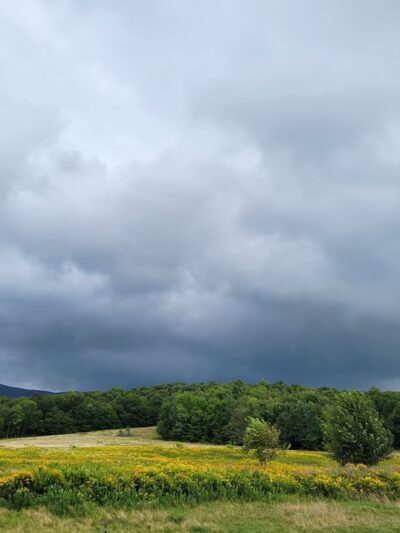 Grateful Acres Vermont - Wilmington, VT