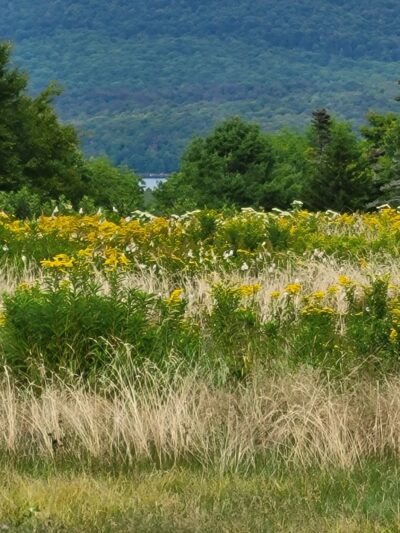 Grateful Acres Vermont - Wilmington, VT