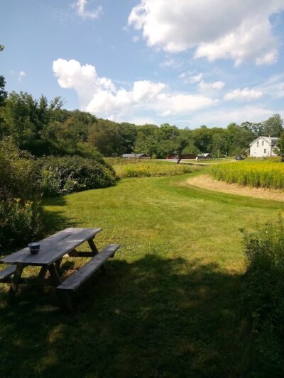 Gus's Gardens Camping - Wilmington, VT