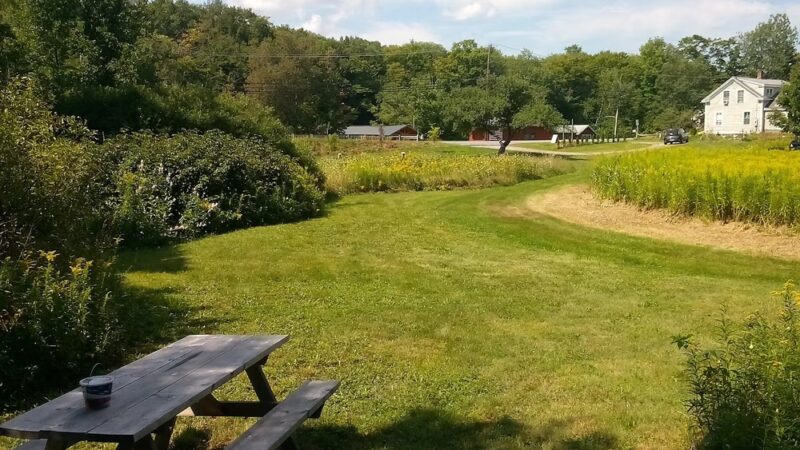 Gus's Gardens Camping - Wilmington, VT