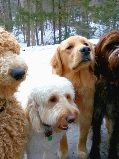 KitSits - Wilmington, VT