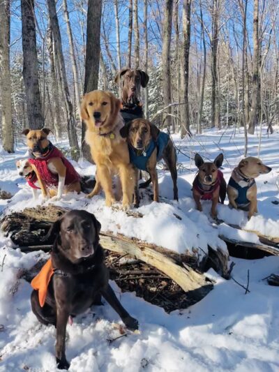 KitSits - Wilmington, VT