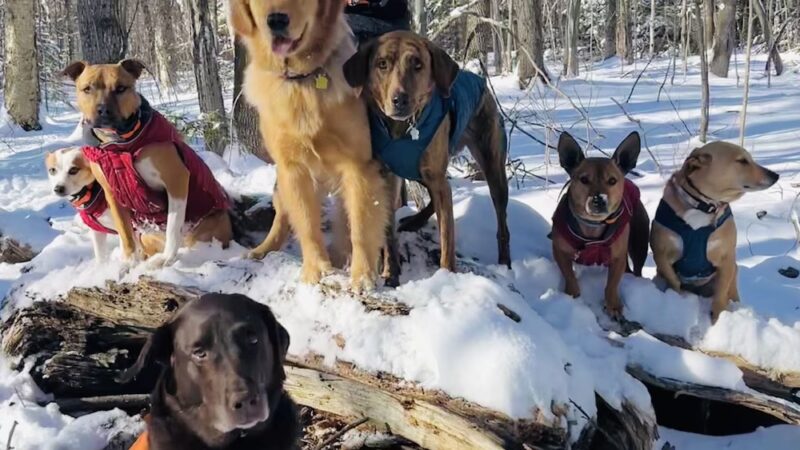 KitSits - Wilmington, VT