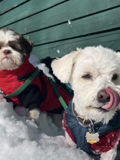 KitSits - Wilmington, VT