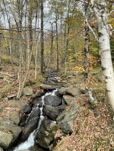 Mount Haystack Trail - Wilmington, VT