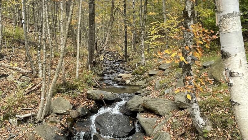 Mount Haystack Trail - Wilmington, VT