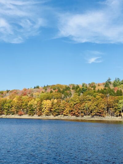 Mt. Mills West Picnic Area - Wilmington, VT