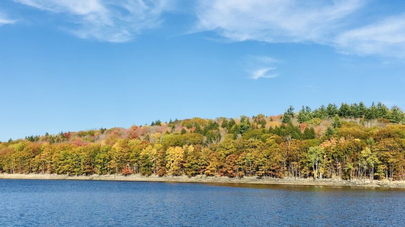 Mt. Mills West Picnic Area - Wilmington, VT