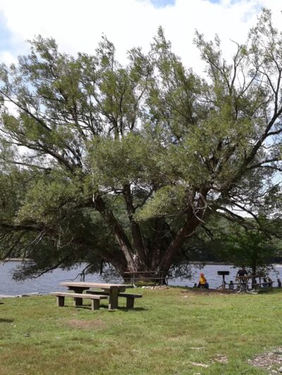 Mt. Mills West Picnic Area - Wilmington, VT