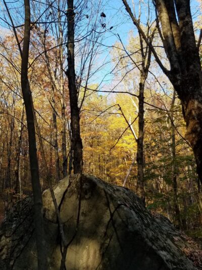 Mt. Mills West Picnic Area - Wilmington, VT