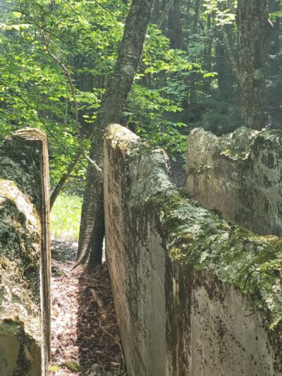 Mt. Mills West Picnic Area - Wilmington, VT