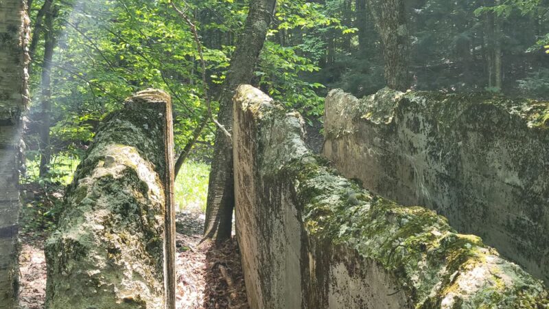 Mt. Mills West Picnic Area - Wilmington, VT