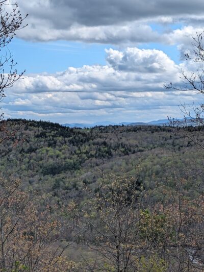 Bog Mountain Trailhead - Wilmot, NH