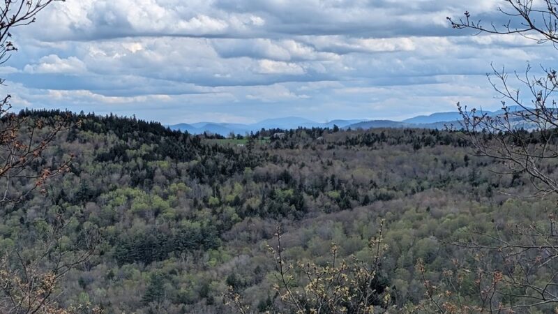 Bog Mountain Trailhead - Wilmot, NH