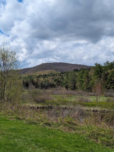 Bog Mountain Trailhead - Wilmot, NH