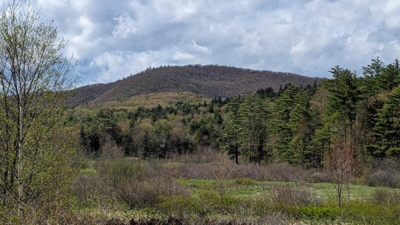 Bog Mountain Trailhead - Wilmot, NH