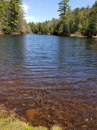 Timmy Patten Park - Wilmot, NH