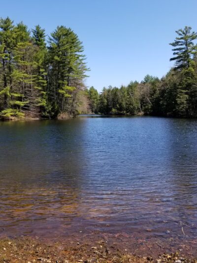 Timmy Patten Park - Wilmot, NH