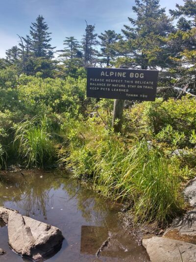 Winslow State Park - Wilmot, NH