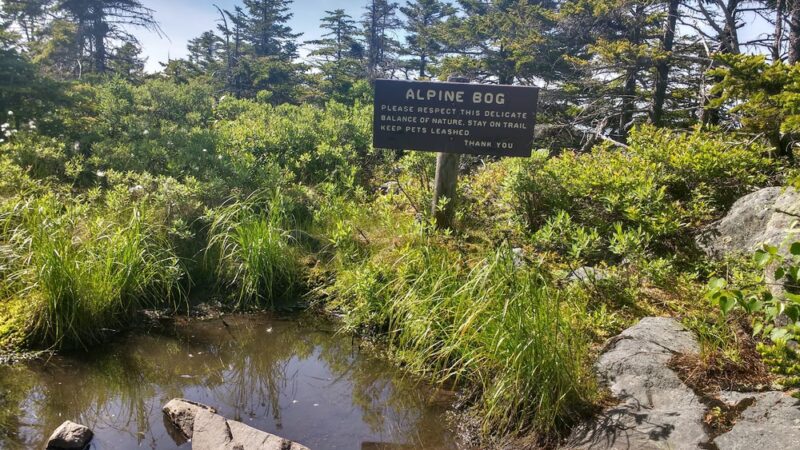 Winslow State Park - Wilmot, NH