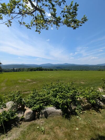 Frye Field - Wilton, NH