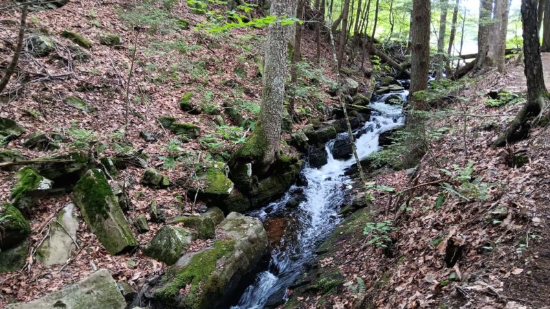 Graphite Range Community Forest - Wilton, NY