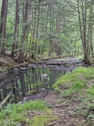 Orra Phelps Nature Preserve - Wilton, NY