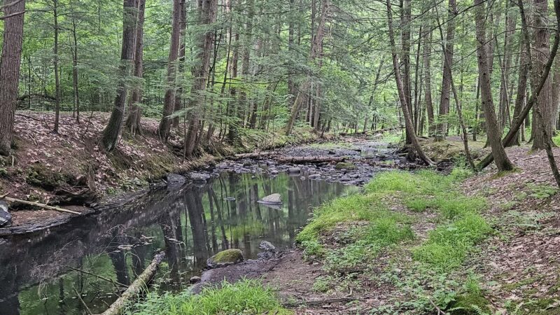 Orra Phelps Nature Preserve - Wilton, NY