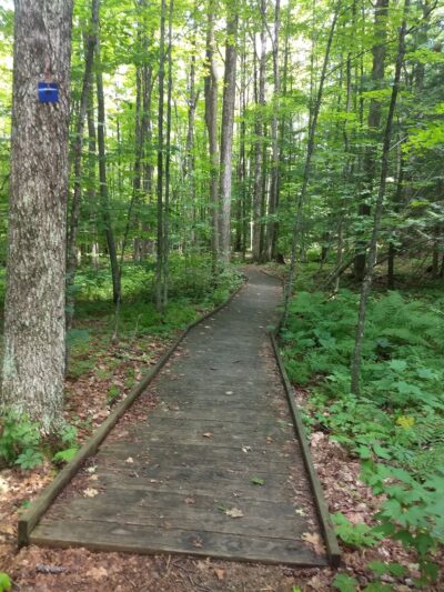 Orra Phelps Nature Preserve - Wilton, NY