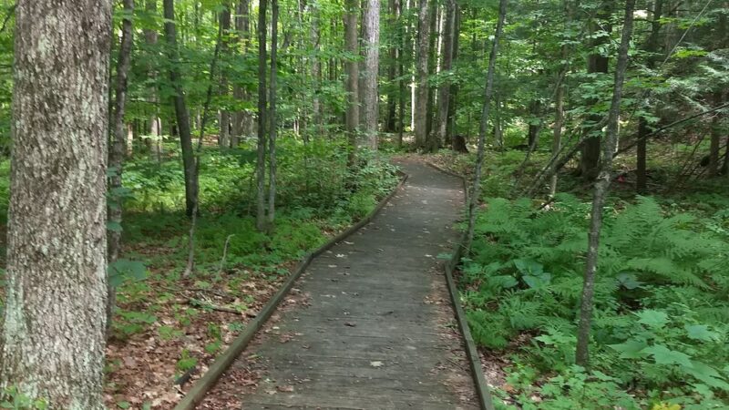 Orra Phelps Nature Preserve - Wilton, NY