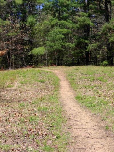Saratoga Sand Plains Wildlife Management Area - Wilton, NY