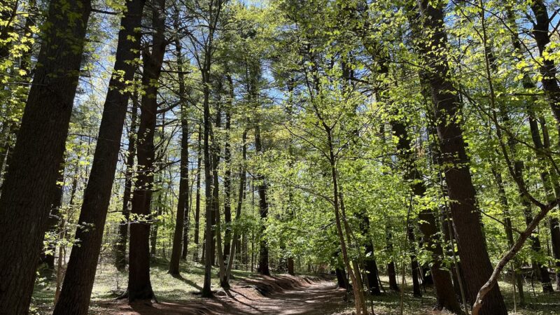 Middlesex Fells Reservation - Long Pond Parking Lot - Winchester, MA