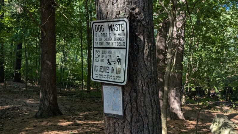 Middlesex Fells Reservation - Long Pond Parking Lot - Winchester, MA