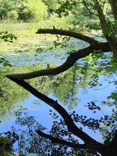 Middlesex Fells Reservation - Long Pond Parking Lot - Winchester, MA